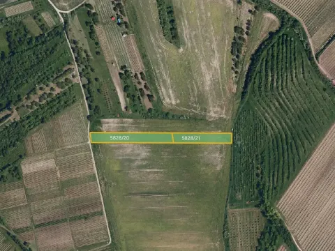Prodej pole, Hustopeče, 5091 m2