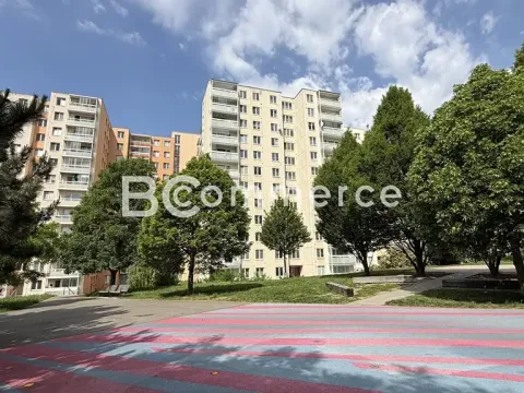 Pronájem bytu 3+1, Brno, Spodní, 63 m2