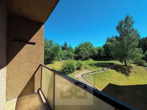Pronájem bytu 2+kk, Plzeň, Pod Švabinami, 60 m2