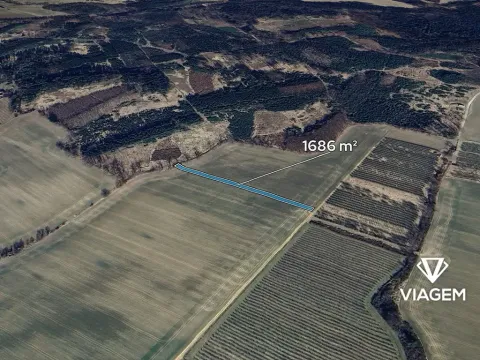 Prodej pole, Konecchlumí, 1686 m2