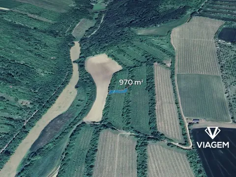 Prodej pole, Žarošice, 970 m2