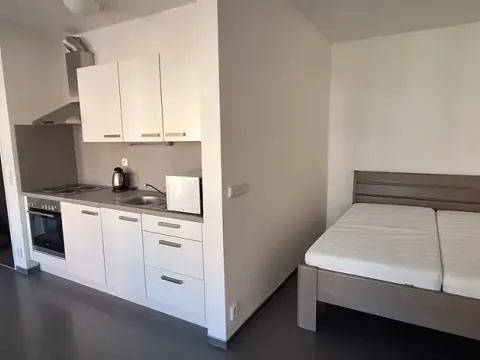 Pronájem bytu 1+kk, Brno, Stará, 44 m2