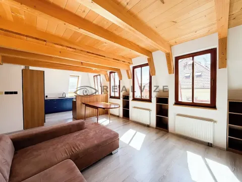 Pronájem bytu 3+1, České Budějovice, Hroznová, 89 m2