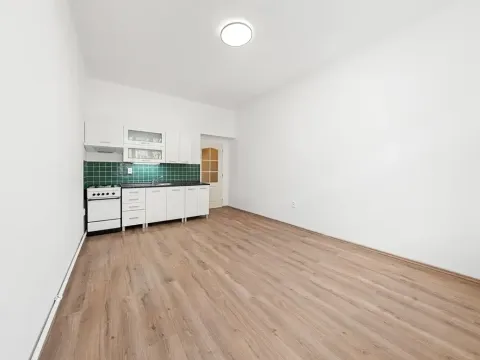 Prodej bytu 2+kk, Praha - Žižkov, Hartigova, 51 m2
