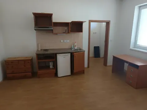 Pronájem bytu 1+kk, Brno, Francouzská, 25 m2