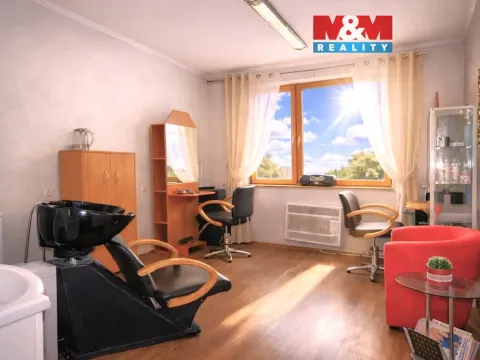Pronájem obchodního prostoru, Ostrava - Mariánské Hory, 28. října, 25 m2