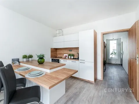 Pronájem bytu 2+kk, Praha, Plzeňská, 52 m2