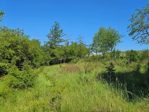 Prodej pozemku pro bydlení, Letovice, 1845 m2