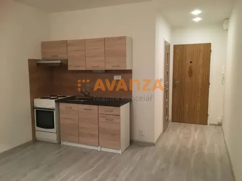 Pronájem bytu 1+1, Děčín, Na Vyhlídce, 34 m2