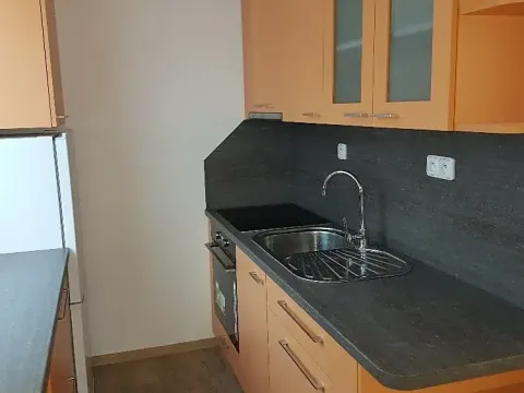 Pronájem bytu 1+1, Liberec, Borový vrch, 39 m2