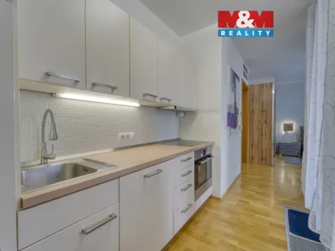 Prodej bytu 1+kk, Praha - Žižkov, Malešická, 38 m2