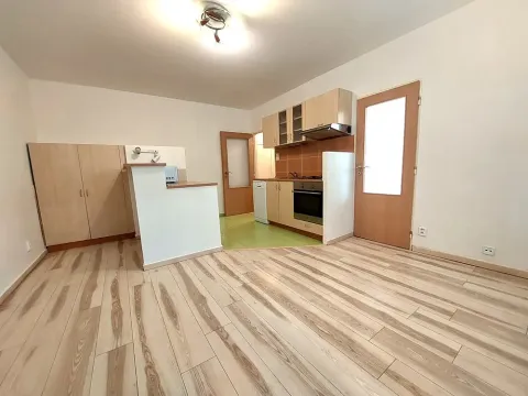 Pronájem bytu 2+kk, Brno - Veveří, Jana Uhra, 36 m2
