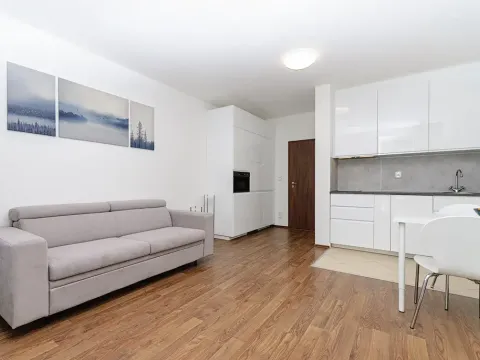 Pronájem bytu 1+kk, Praha - Stodůlky, Svitákova, 29 m2