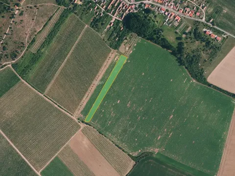 Prodej pole, Znojmo, 7141 m2