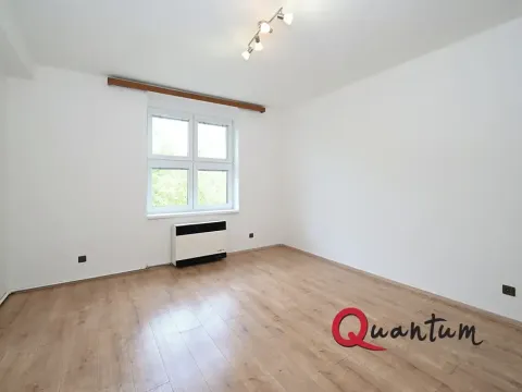 Pronájem bytu 1+1, Praha - Braník, Branická, 47 m2