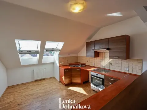 Pronájem bytu 3+kk, Hodonín, 115 m2