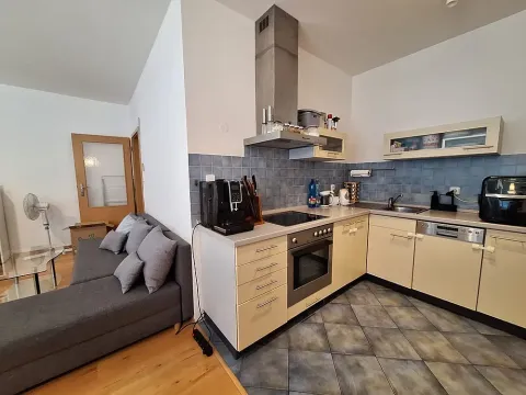Pronájem bytu 1+kk, Brno - Líšeň, Holzova, 62 m2