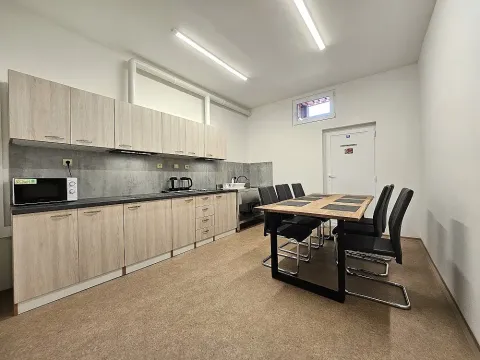 Pronájem bytu, Brno - Zábrdovice, Cejl, 16 m2
