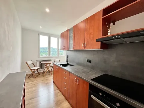 Pronájem bytu 2+1, Starý Plzenec, U Sedlce, 57 m2
