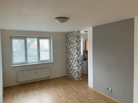 Pronájem bytu 1+1, Brno, Lučiny, 30 m2