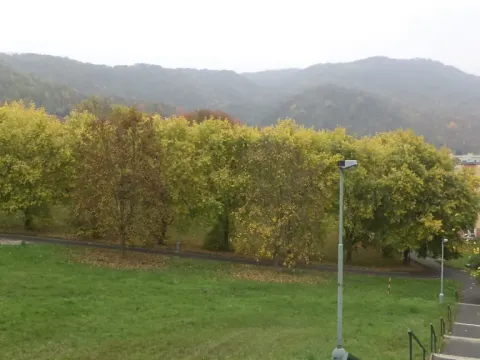 Prodej pozemku, Ústí nad Labem - Mojžíř, 450 m2