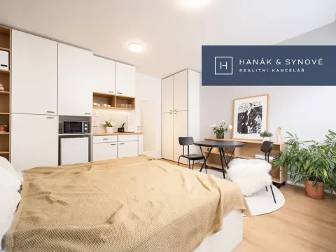 Pronájem bytu 1+kk, Brno, Cejl, 31 m2
