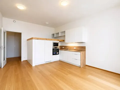 Pronájem bytu 1+kk, Praha - Hrdlořezy, V třešňovce, 34 m2