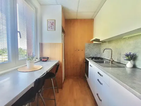Pronájem bytu 2+1, Ostrava, Francouzská, 55 m2