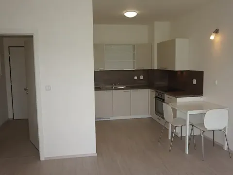 Pronájem bytu 1+kk, Střelice, Příční, 43 m2