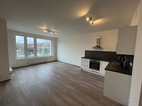 Pronájem bytu 2+kk, Praha - Holešovice, Jankovcova, 60 m2