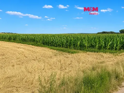 Prodej pole, Brno - Dvorska, 44465 m2