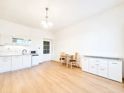 Pronájem bytu 2+kk, Praha - Žižkov, Fibichova, 50 m2