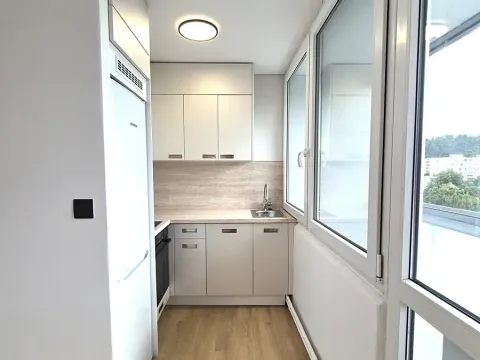 Prodej bytu 1+kk, Praha - Karlín, Nekvasilova, 29 m2