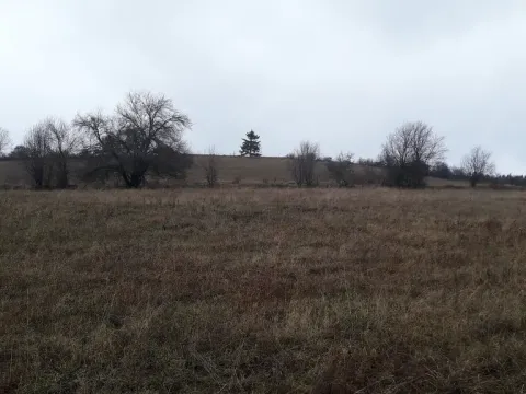 Prodej pole, Teplice nad Metují - Dolní Teplice, 25028 m2