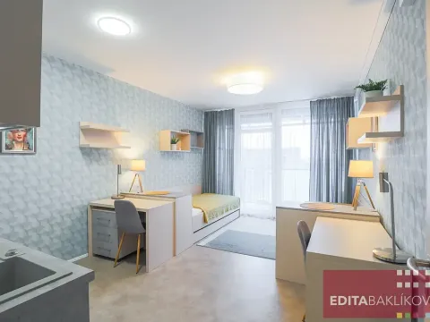 Pronájem bytu 1+kk, Olomouc, 17. listopadu, 33 m2