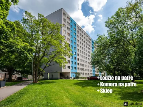 Prodej bytu 2+1, Pardubice - Polabiny, Gagarinova, 46 m2