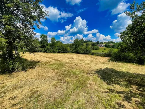 Prodej pozemku, Zadní Střítež, 1357 m2