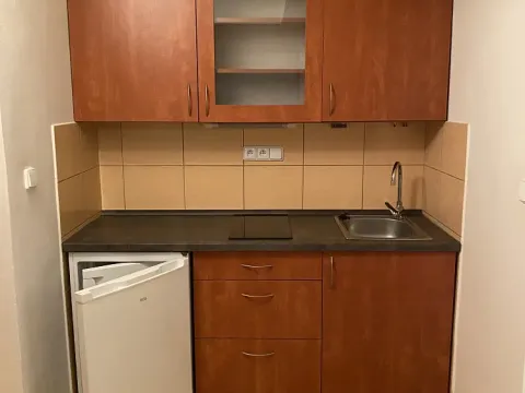 Pronájem bytu 1+kk, Praha - Michle, Počátecká, 24 m2