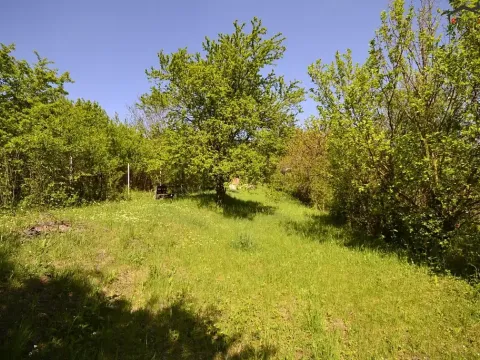 Prodej zahrady, Hostěrádky-Rešov, 705 m2