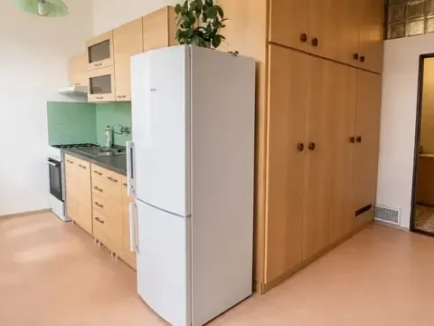 Pronájem bytu 3+1, Jihlava, Palackého, 75 m2
