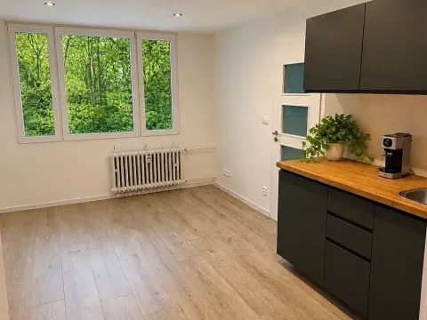Prodej bytu 2+kk, Praha - Krč, Hurbanova, 40 m2