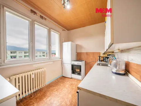Prodej bytu 2+1, Duchcov, Horská cesta, 53 m2