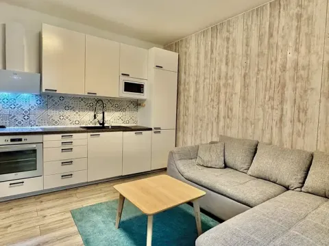 Pronájem bytu 3+kk, Bílovec, Slezské náměstí, 60 m2
