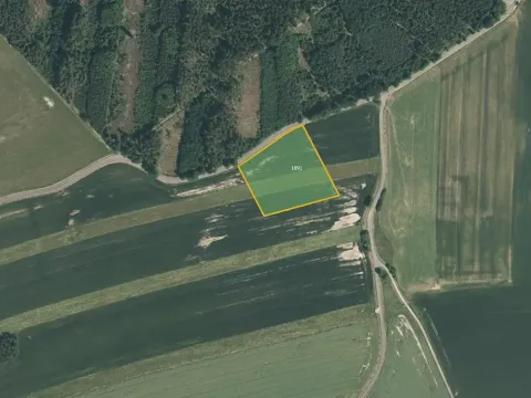 Prodej pole, Biřkov, 9293 m2