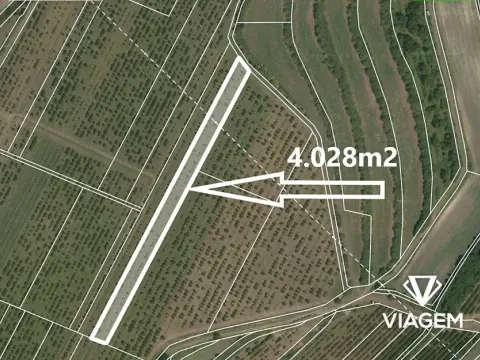 Prodej pole, Kobylí, 4028 m2
