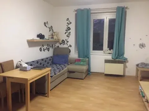 Pronájem bytu 1+kk, Praha - Podolí, Na dolinách, 30 m2