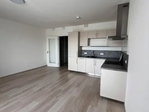 Pronájem bytu 1+kk, Praha - Horní Měcholupy, Hornoměcholupská, 38 m2