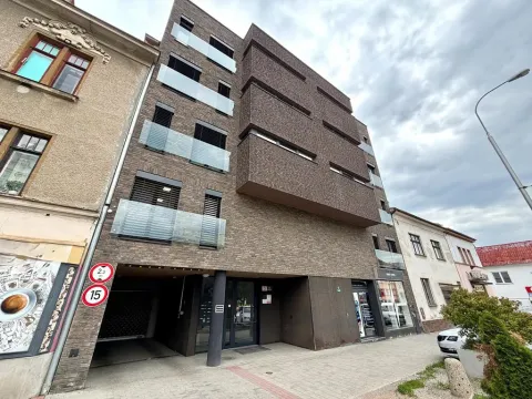 Pronájem ostatní, Brno - Žabovřesky, Minská