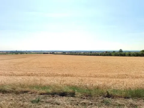 Prodej pole, Olomouc, 29414 m2