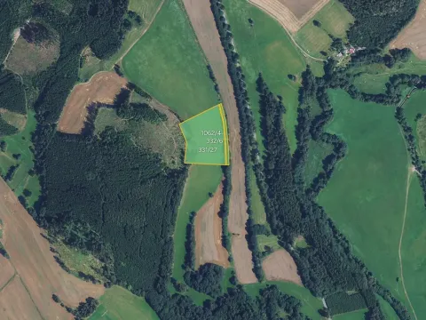 Prodej louky, Borovnice, 16910 m2